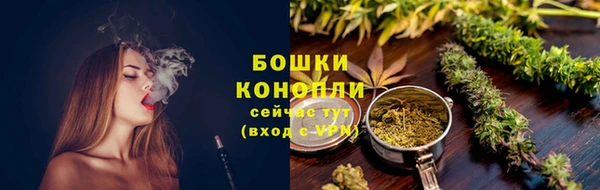 молекула духа Осташков