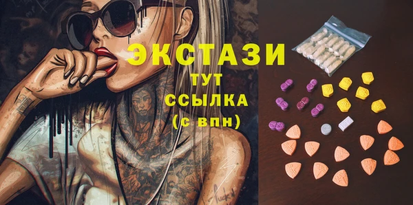 молекула духа Осташков