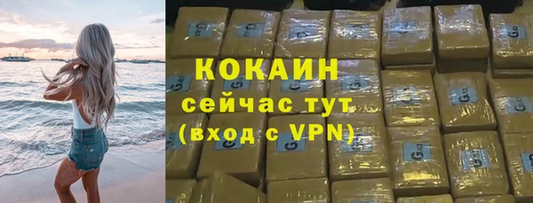 молекула духа Осташков