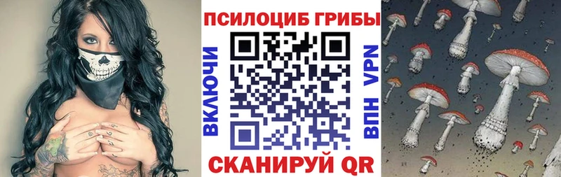 цены наркотик  Энем  Галлюциногенные грибы GOLDEN TEACHER 